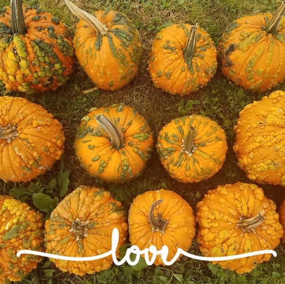 Meet your Posher, Jamie - Picture 1 of 1